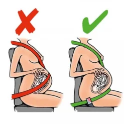 Gordelgeleider Voor Zwangeren